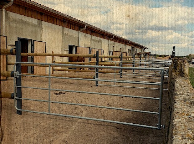 Paddocks neu gestaltet