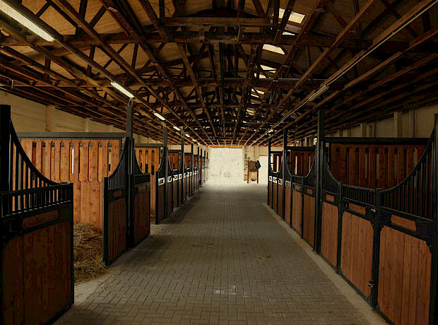 Boxenstall